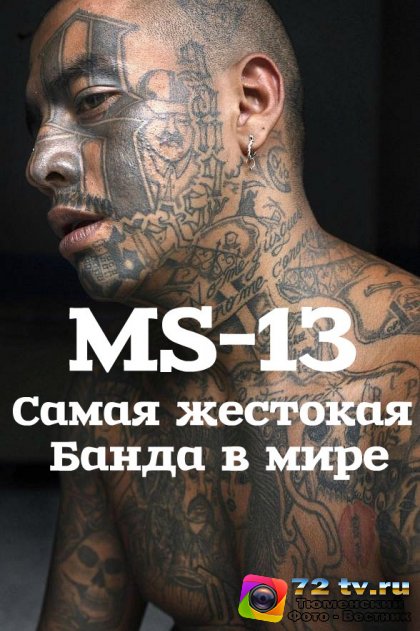        MS-13