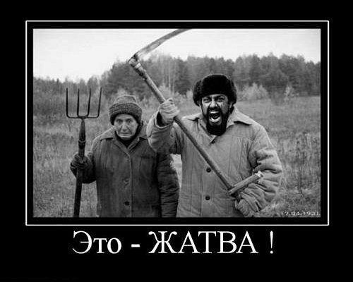 Ты тупо будешь смеяться "Над прикольными картинками"!