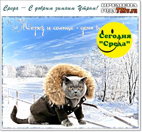 Доброе зимнее утро - "Сегодня среда"! » Картинки и фото приколы - Развлекательный портал "Юмор - 72 TV"!