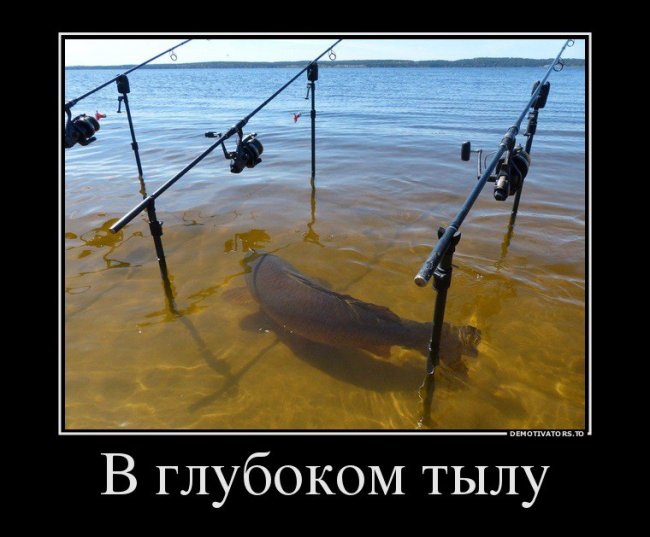 Когда рыба "Глубоко в тылу рыбака" Рыбацкий Юмор!