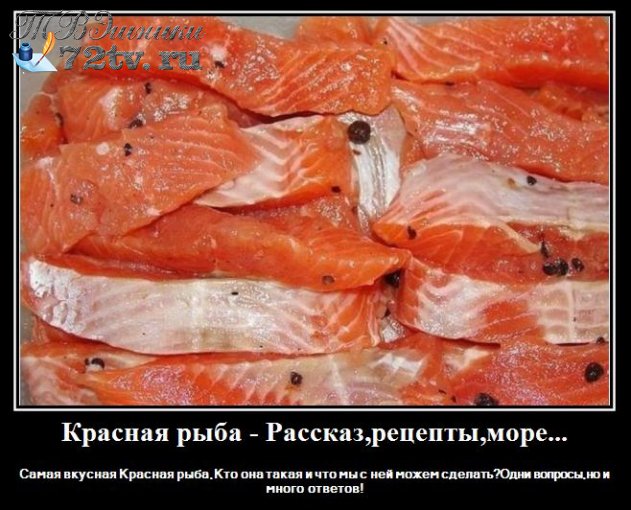 Самые вкусные рецепты приготовления Рыбы Лососевых пород в рассказ!
