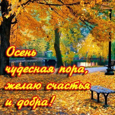Времена года - Осень картинки (30 фото-открыток)! » 72tv.ru - Картинки и  открытки, гифки "Красивые поздравления"!
