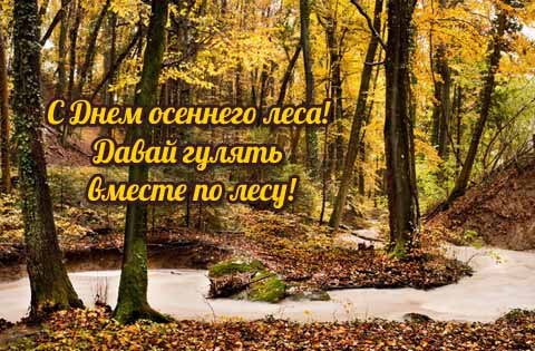 Тема осенний лес - Золотая осень в лесу!