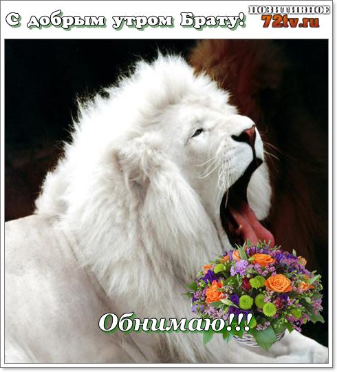 Картинки - "С добрым утром Брат"! » 72tv.ru - Картинки и открытки, гифки "Красивые поздравления"!
