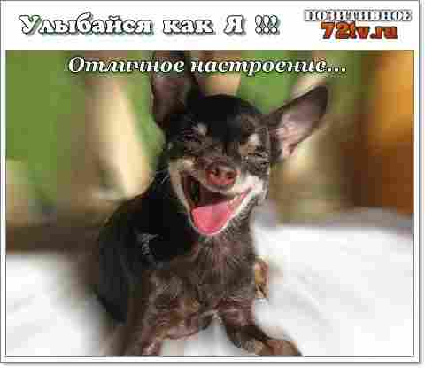 Картинки для улыбок! » 72tv.ru - Картинки и открытки &amp;quot;Красивые  поздравления&amp;quot;!