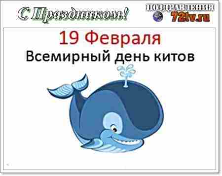 Какие праздники 19 февраля 2024. День защиты китов 19 февраля. Всемирный день морских млекопитающих 19 февраля. День кита. 19 Февраля Всемирный день китов и морских млекопитающих.