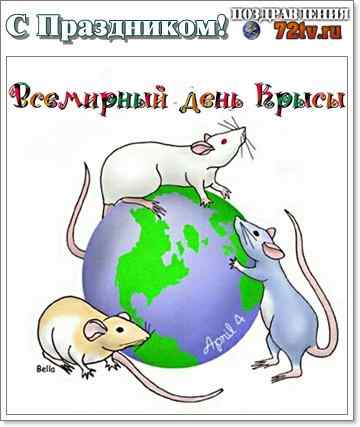 День крысы 4 апреля картинки. Всемирный день крысы. Всемирный день крысы 4 апреля. Сегодня Всемирный день крысы. День крысы праздник.