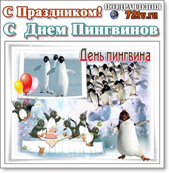 25 апреля 2017. День пингвина. Международный день пингвинов. 25 Апреля праздник Всемирный день пингвинов. Открытка с Всемирным днем пингвина.