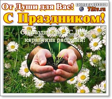 Поздравления 5 июня "С Днем создания Государственной службы карантина растений"!