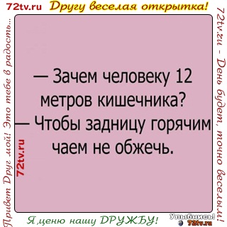 Веселые картинки с анекдотами для друзей! » 72tv.ru - Картинки и открытки  &amp;quot;Красивые поздравления&amp;quot;!