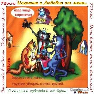 Нужно чаще. Открытка надо встретиться. Открытка надо чаще встречаться. Надо чаще встречаться картинки смешные. Нужно чаще встречаться.