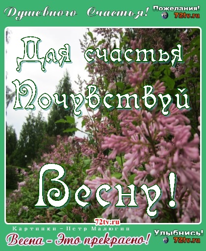 Красивые картинки весны для счастья!