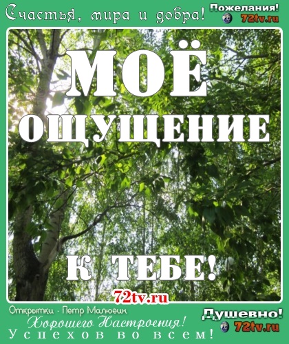 Картинки - В собственных ощущениях и чувствах!