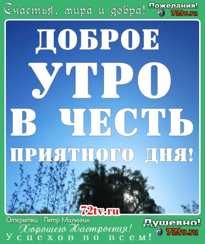Картинки про доброе утро и приятного дня!