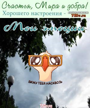 Красивые картинки для добрых эмоций с приветом!