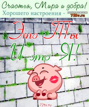 Веселые и красивые картинки для личных сообщений всем!
