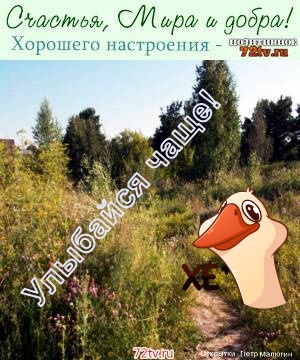 Картинки веселые с выражением чувств для телефона!