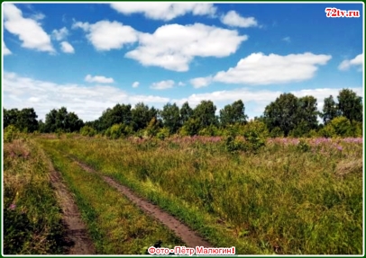 Фото от души так все хорошо!