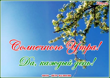 Яркие и красивые пожелания солнечного утра на каждый день!