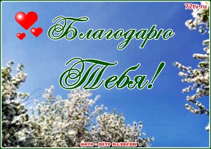 Фото с благодарностью!