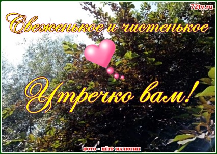 Надпись - Доброе Утро и хорошего дня на фото!