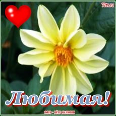 Для любимой картинки!