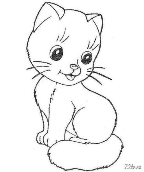Кошки картинки - Рисовать кошку!