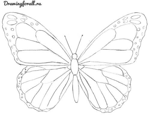 Бабочки рисунки - (120 картинок бабочку рисовать)!