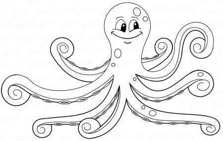 Картинки осьминога - Рисунки  осьминога для срисовки (31 рисунок)!