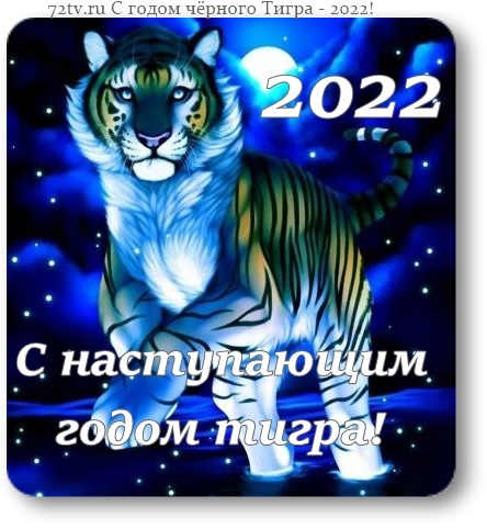С наступающим новым годом 2022 - Год черного водяного тигра!