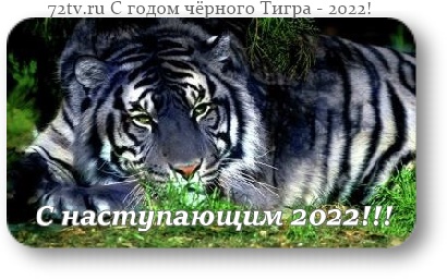 С наступающим новым годом 2022 - Год черного водяного тигра!