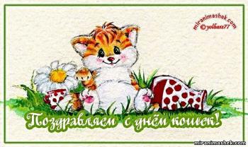 Поздравления 8 августа "С Международным днем кошек"!
