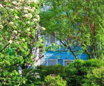 Photo - Church PARK is a favorite tree-watching spot!