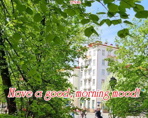 Pictures - wishes for a good, morning mood!