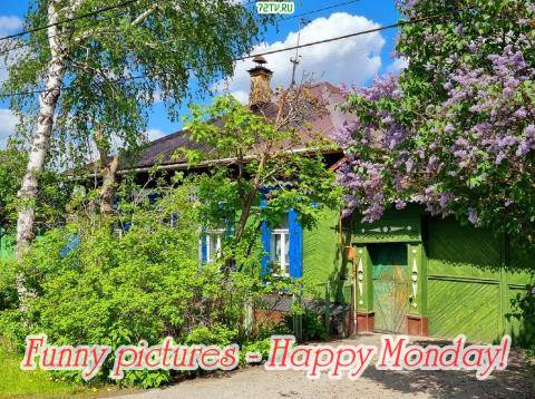 Beautiful pictures - "Happy Monday" Congratulations!