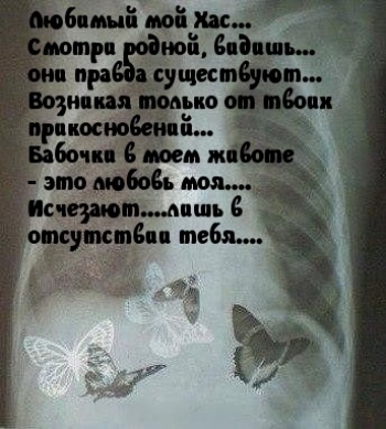Бабочки в моем животе это любовь. Бабочки в животе стихи. Стихотворение про бабочек в животе. Бабочки в моём животе стихи. Бабочки в животе статус.