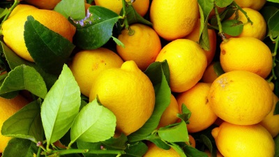 Картинки с лимонами (80 фото)