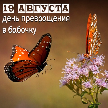 Мистические открытки в День превращения в бабочку и красивые поздравления 19 августа